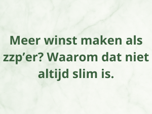 Blog over winst maken als zzp’er en financiële rust